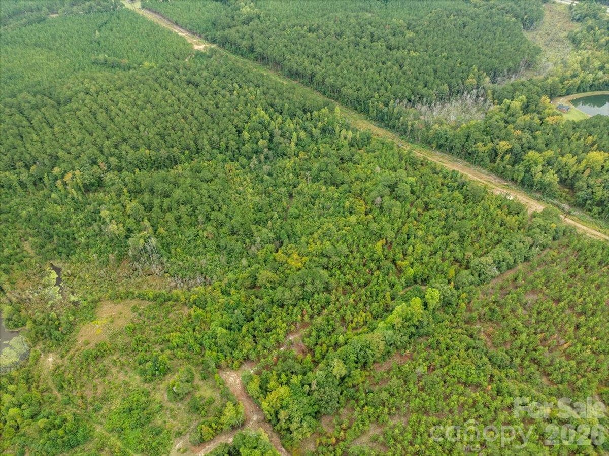 Acreage at 0000 McDuffie Lane, Cheraw, photo 5 of 10