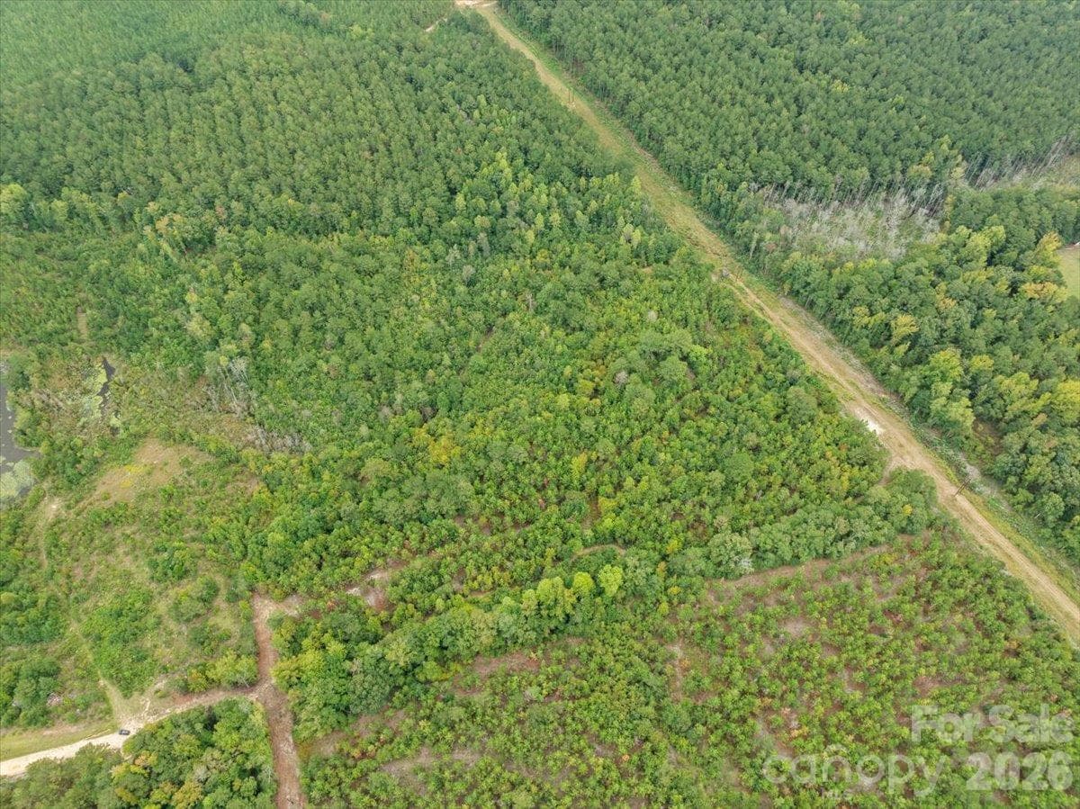 Acreage at 0000 McDuffie Lane, Cheraw, photo 6 of 10