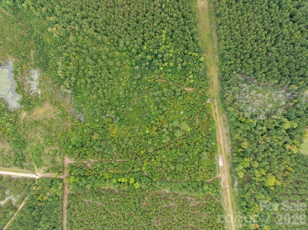 Acreage at 0000 McDuffie Lane, Cheraw, photo 7 of 10