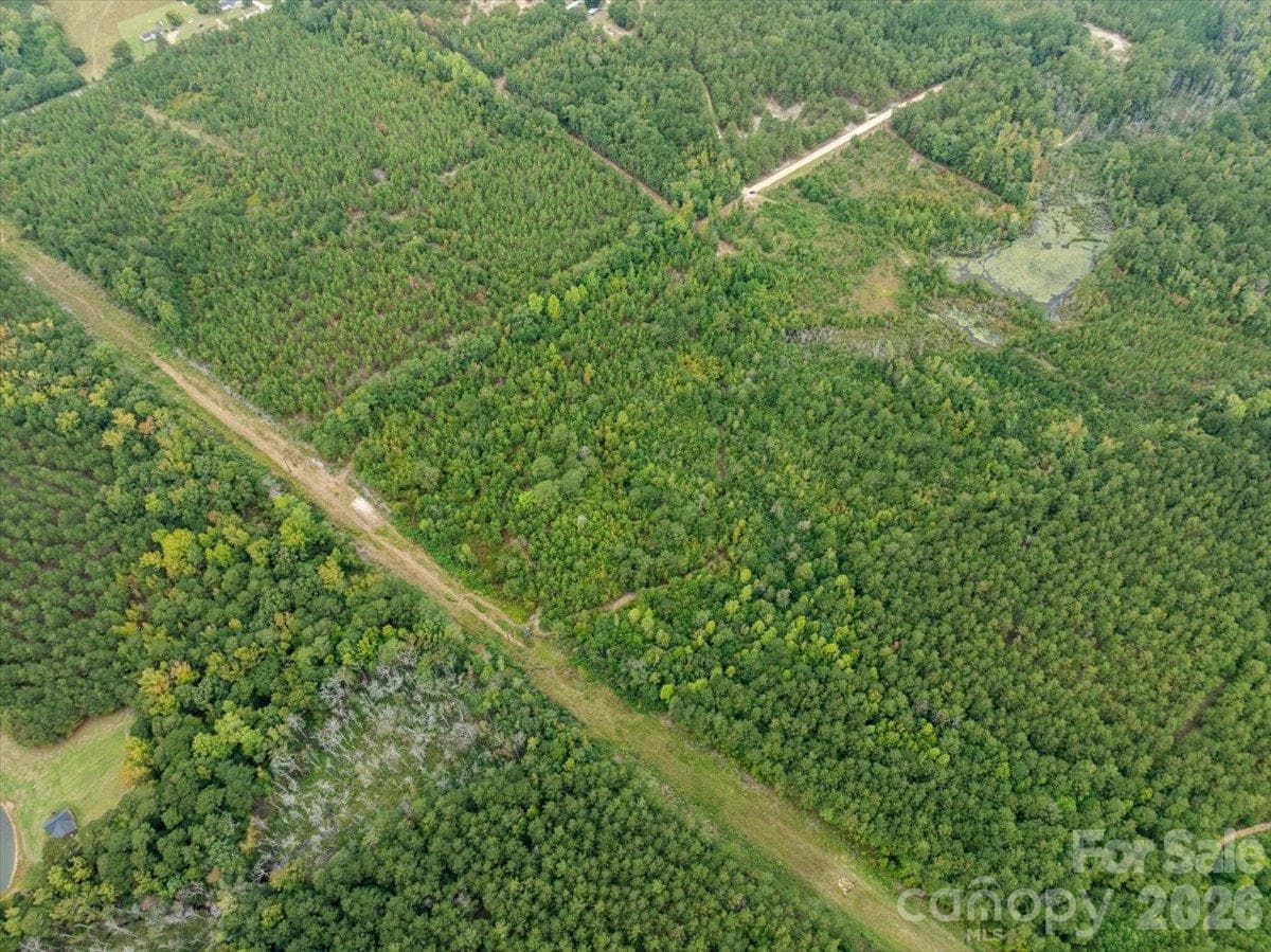 Acreage at 0000 McDuffie Lane, Cheraw, photo 9 of 10