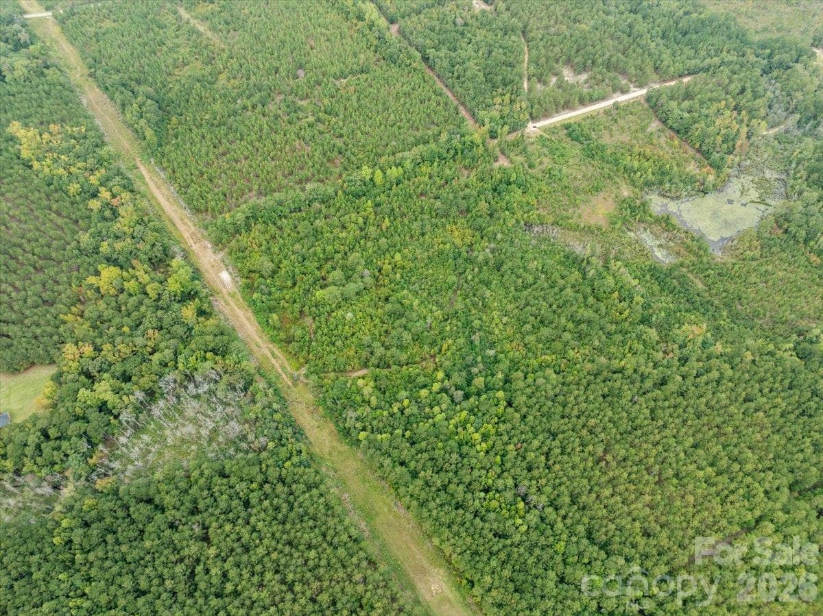 Acreage at 0000 McDuffie Lane, Cheraw, photo 10 of 10