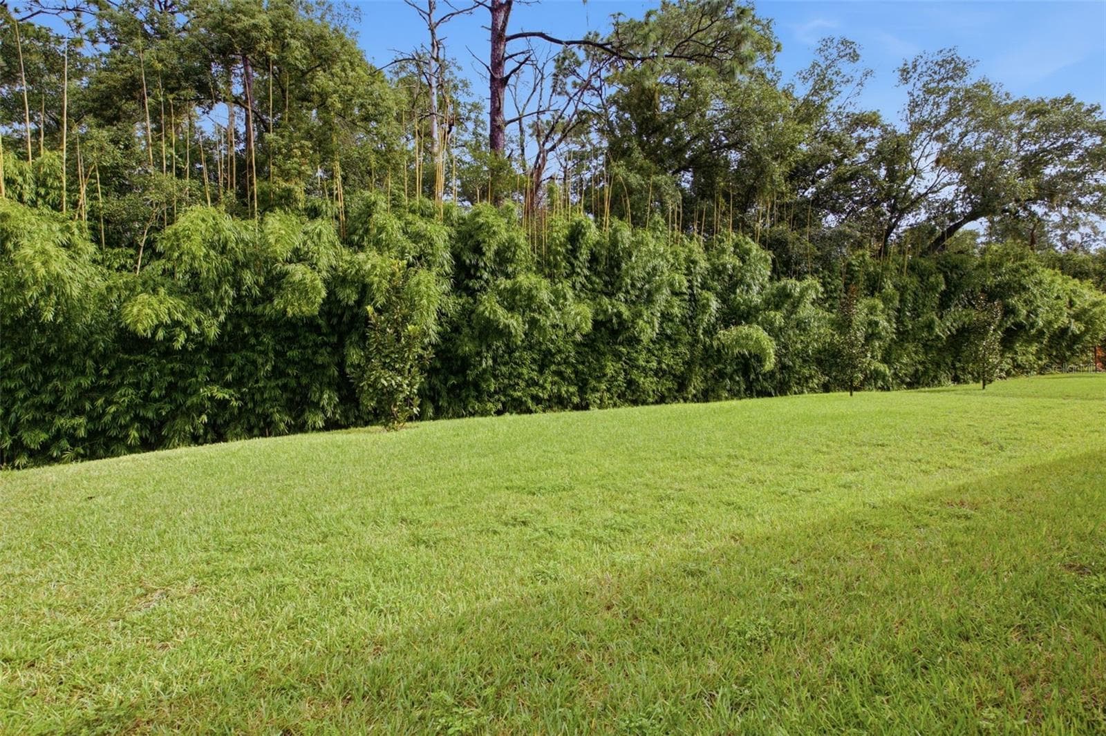 Single Family Residence at 344 AMBERSWEET PL, LAKE MARY, photo 66 of 74