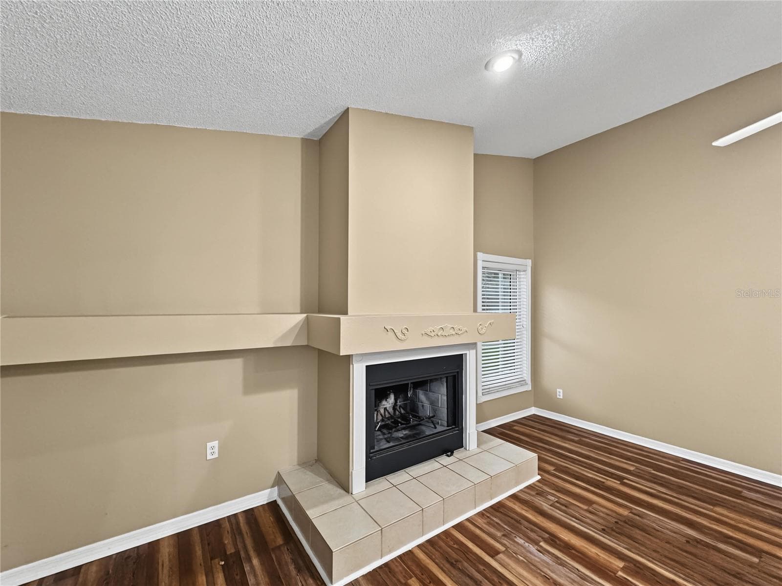 Single Family Residence at 2510 BRIMHOLLOW DR, VALRICO, photo 7 of 25