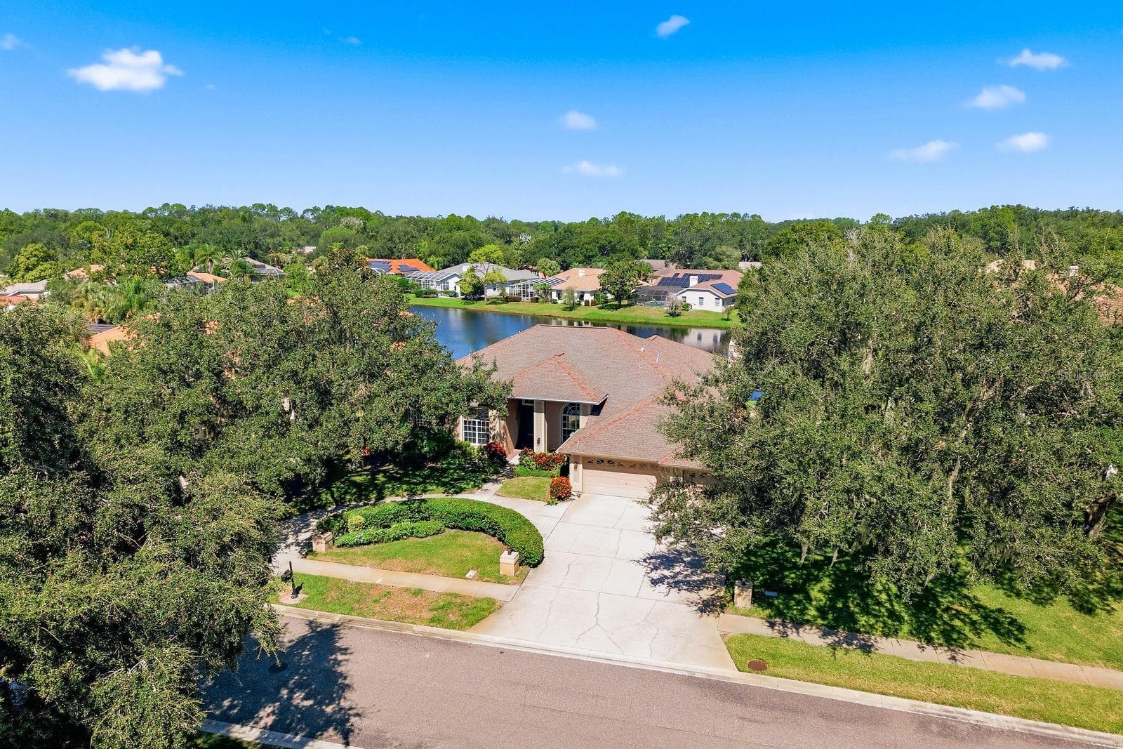 Circular Driveway - 3763 EXECUTIVE DR, PALM HARBOR