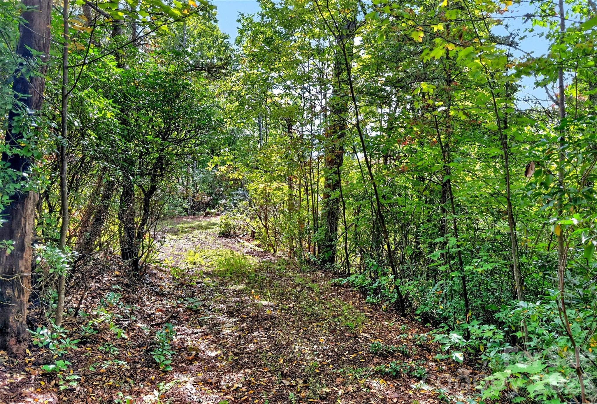 Lot at 368 Sassafras Drive, Old Fort, photo 8 of 83