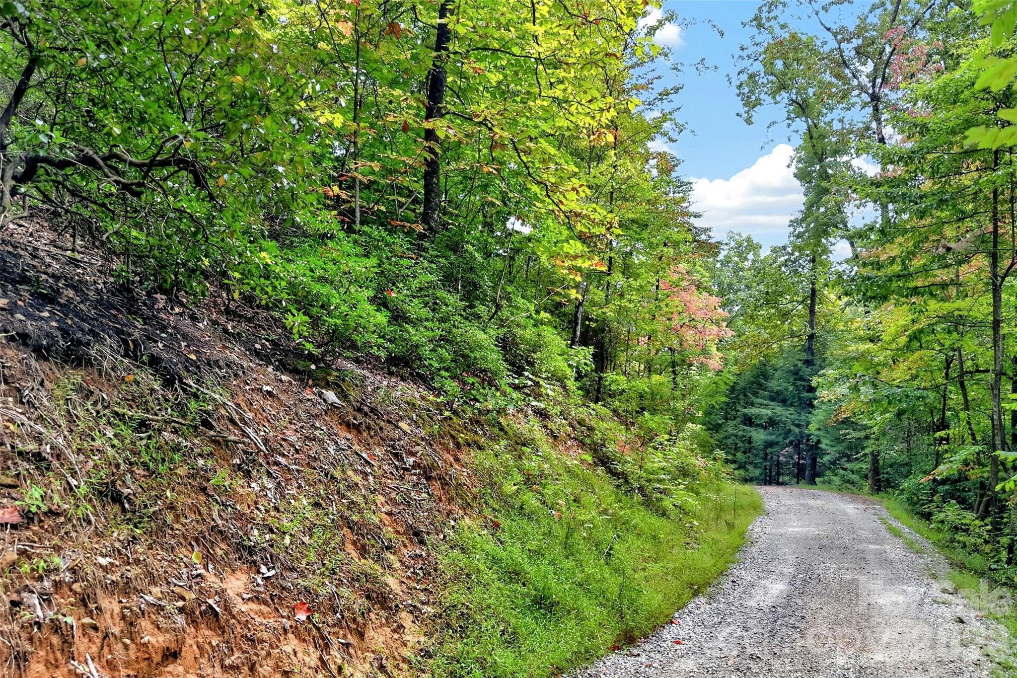 Lot at 368 Sassafras Drive, Old Fort, photo 10 of 83