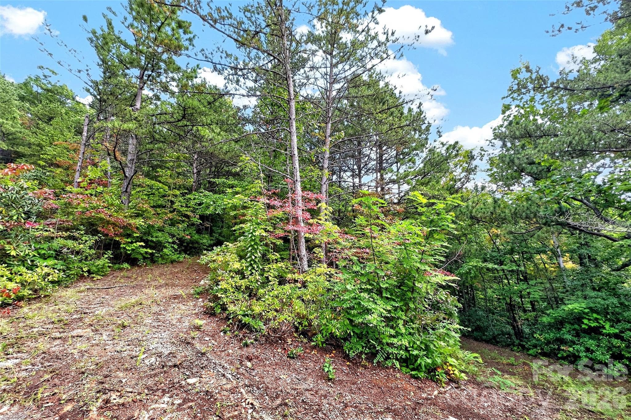 Lot at 368 Sassafras Drive, Old Fort, photo 14 of 83
