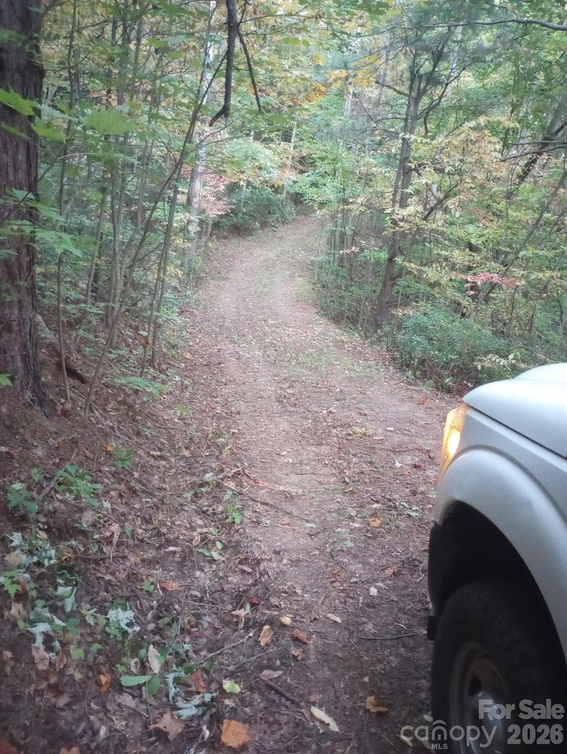 Road in great shape! - 368 Sassafras Drive, Old Fort
