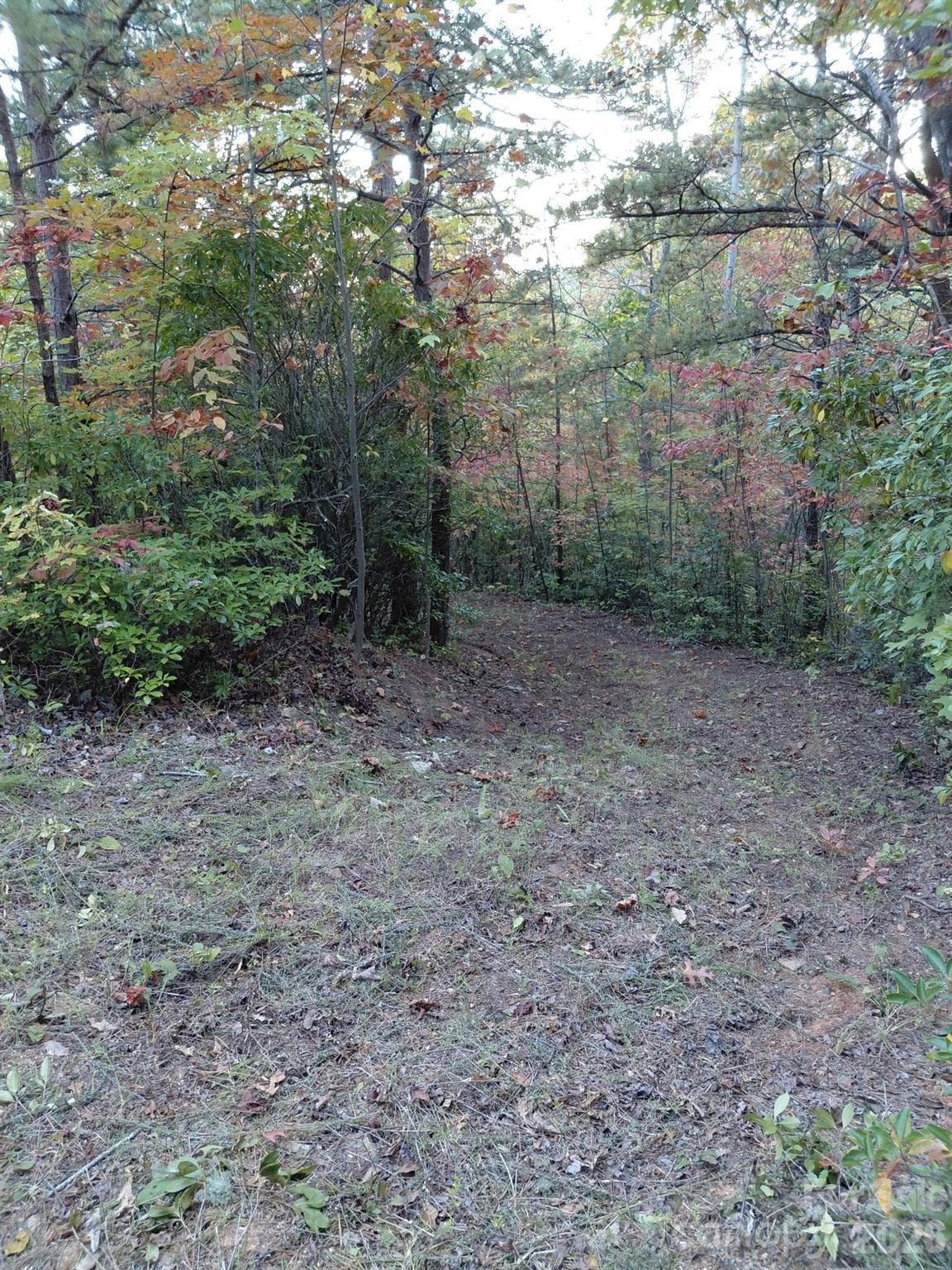 Beautiful hardwoods on the property. - 368 Sassafras Drive, Old Fort
