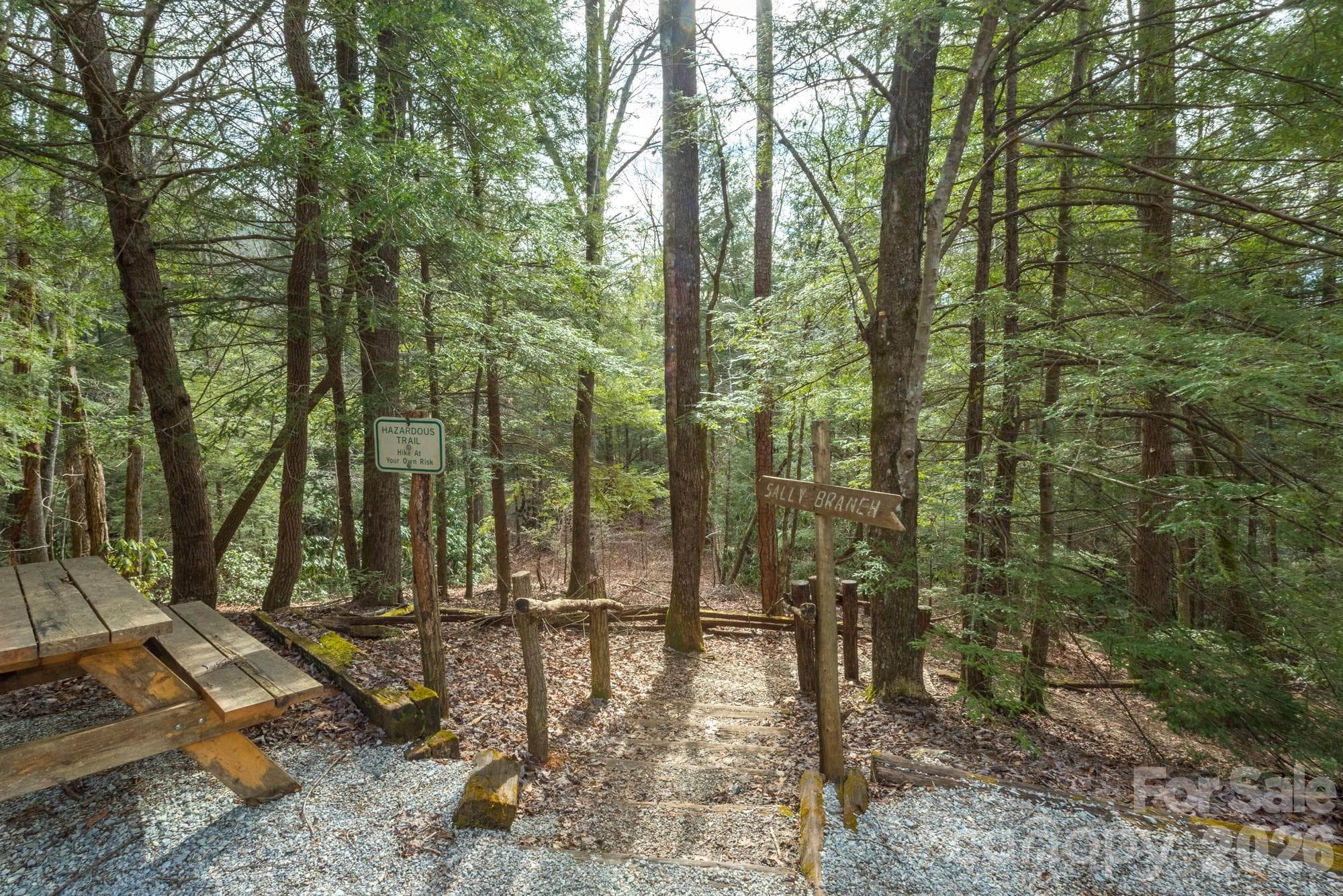 Trail to Waterfalls - 368 Sassafras Drive, Old Fort