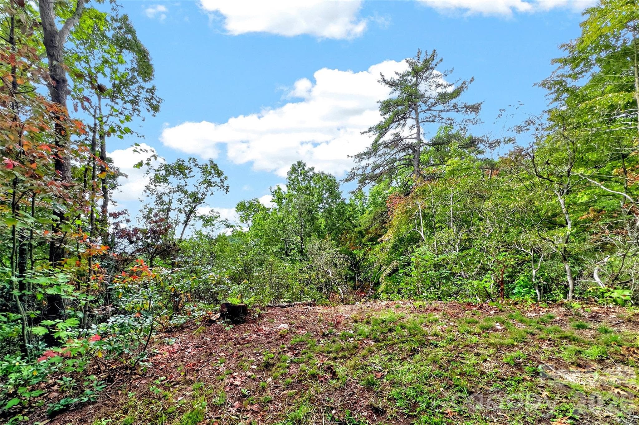 Lot at 368 Sassafras Drive, Old Fort, photo 42 of 83