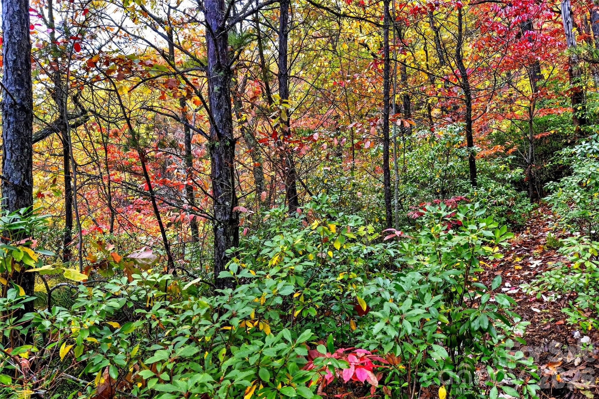 Lot at 368 Sassafras Drive, Old Fort, photo 46 of 83