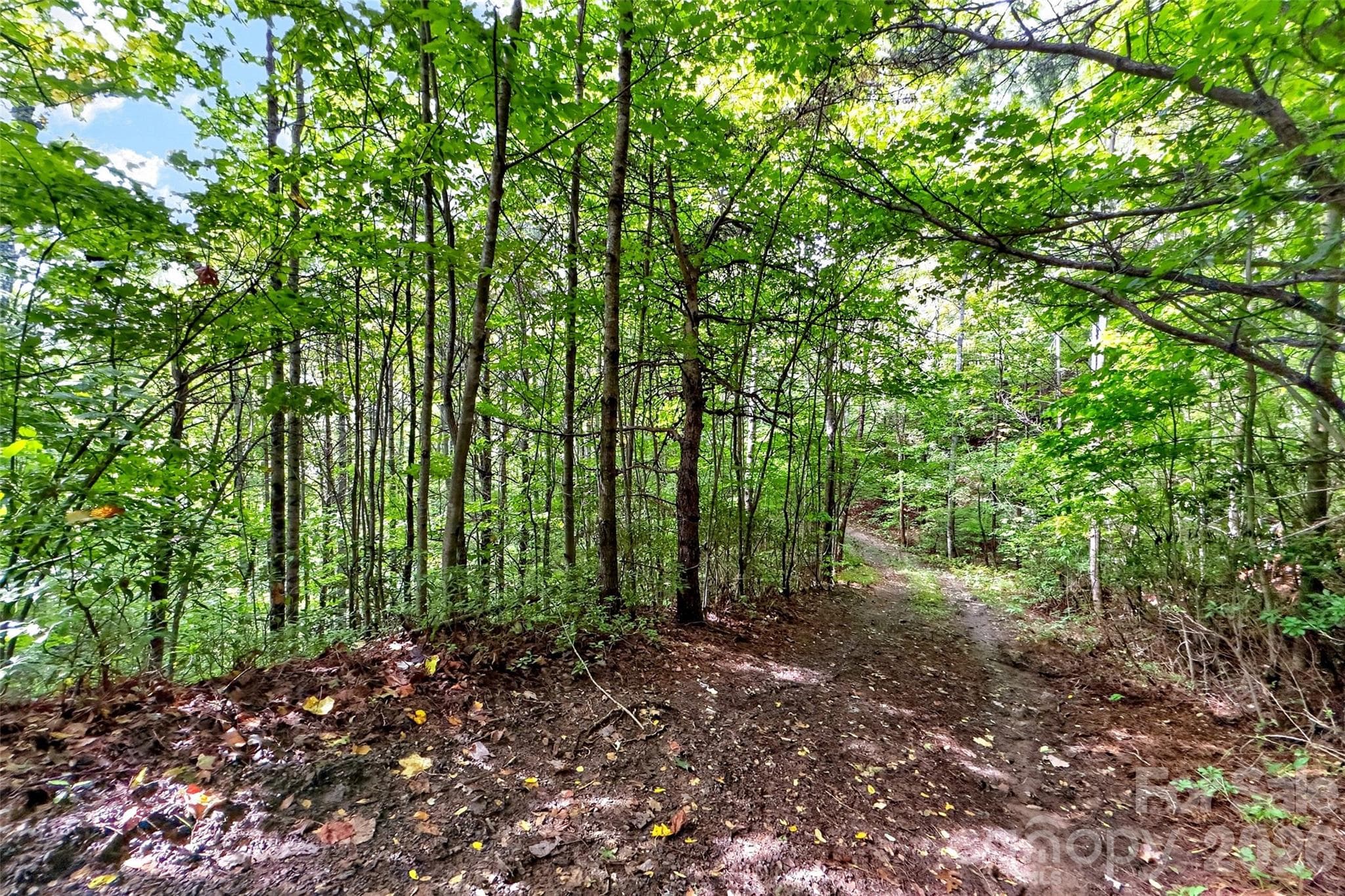 Lot at 368 Sassafras Drive, Old Fort, photo 58 of 83