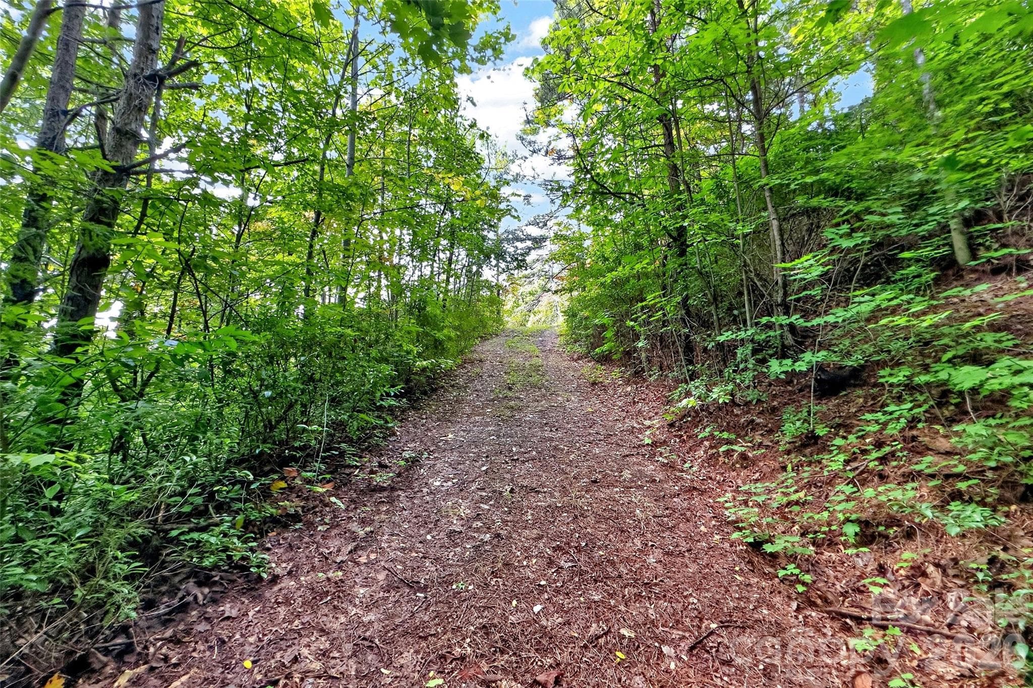 Lot at 368 Sassafras Drive, Old Fort, photo 66 of 83
