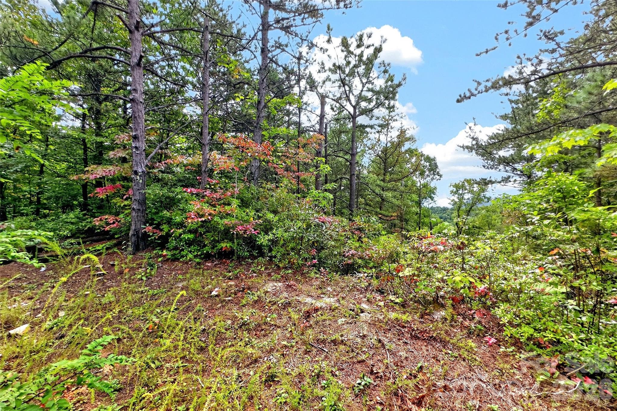 Lot at 368 Sassafras Drive, Old Fort, photo 68 of 83