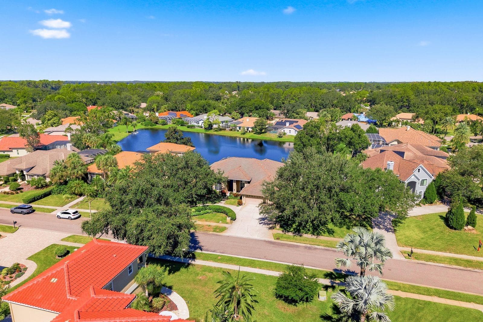 Single Family Residence at 3763 EXECUTIVE DR, PALM HARBOR, photo 78 of 100