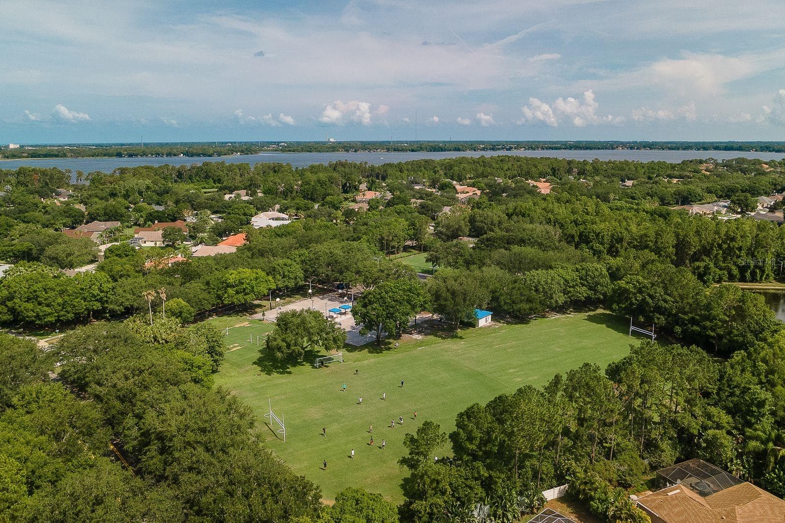Enjoy all of Lansbrook amenities - 3763 EXECUTIVE DR, PALM HARBOR