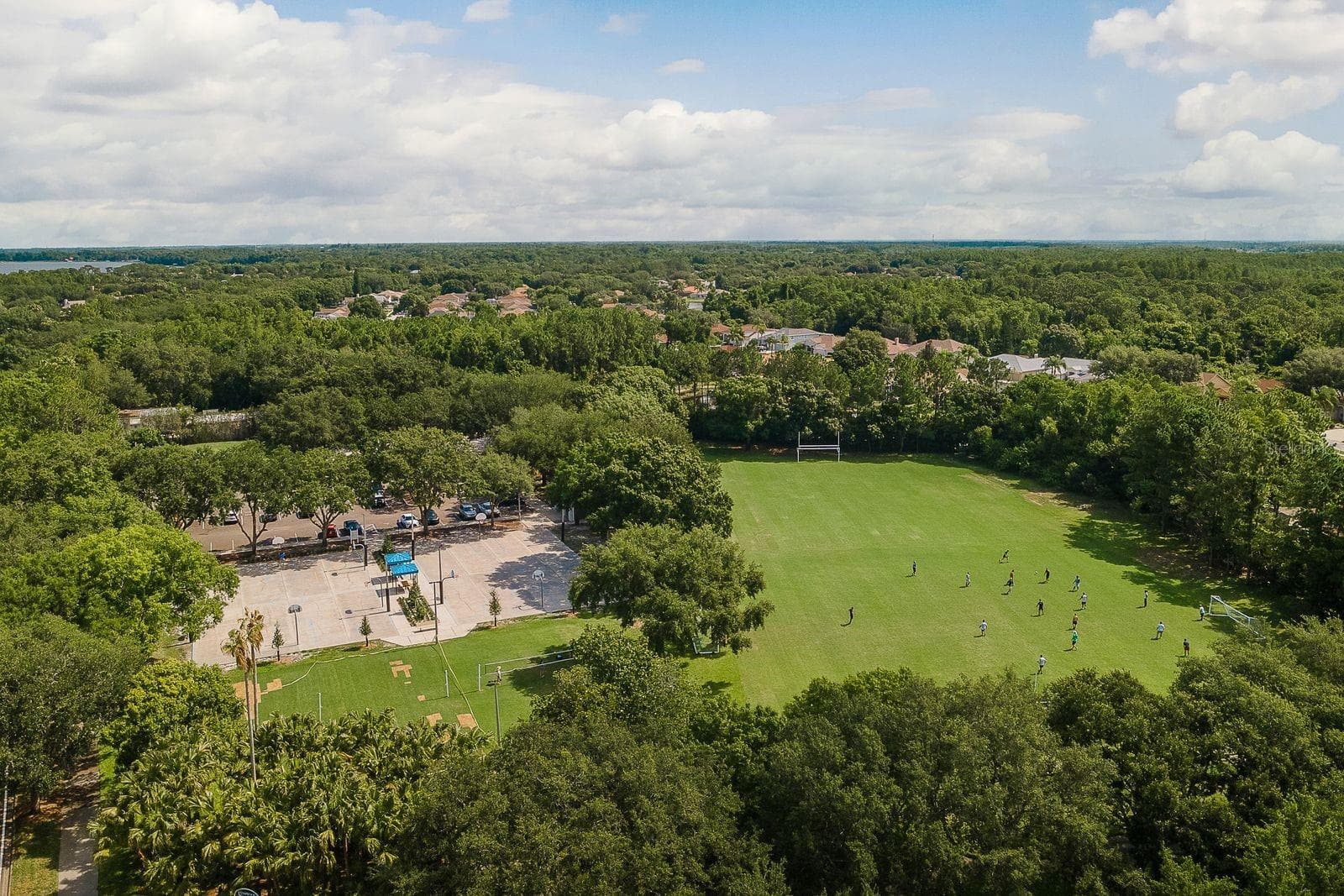 Soccer Fields - 3763 EXECUTIVE DR, PALM HARBOR