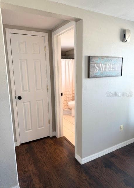 Guest Bath Entry - 7910 ILEX DR, PORT RICHEY