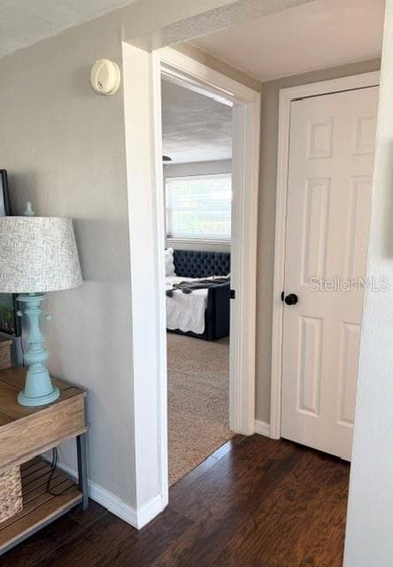 Guest Bedroom Entry - 7910 ILEX DR, PORT RICHEY