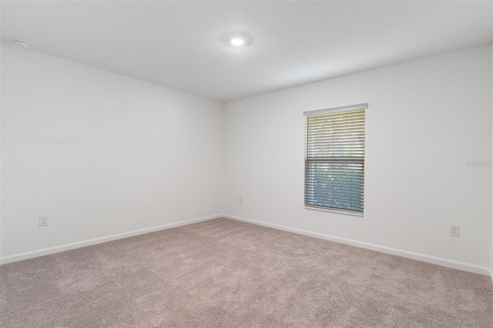 Single Family Residence at 35040 SMOKETREE LN, DADE CITY, photo 39 of 56