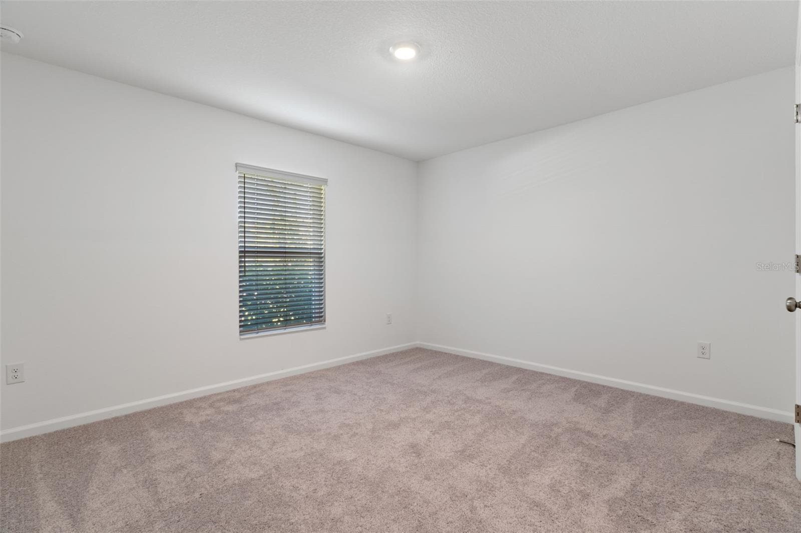 Single Family Residence at 35040 SMOKETREE LN, DADE CITY, photo 43 of 56