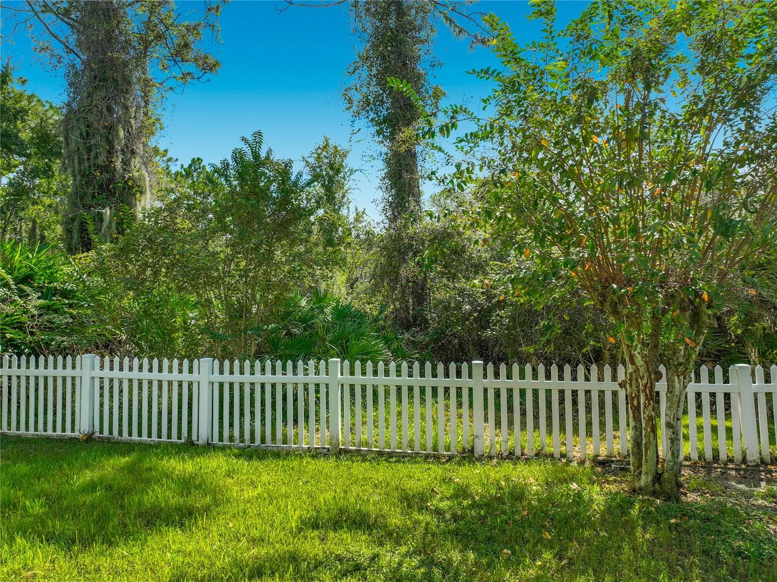 Single Family Residence at 14226 BRADBURY RD, ORLANDO, photo 57 of 83