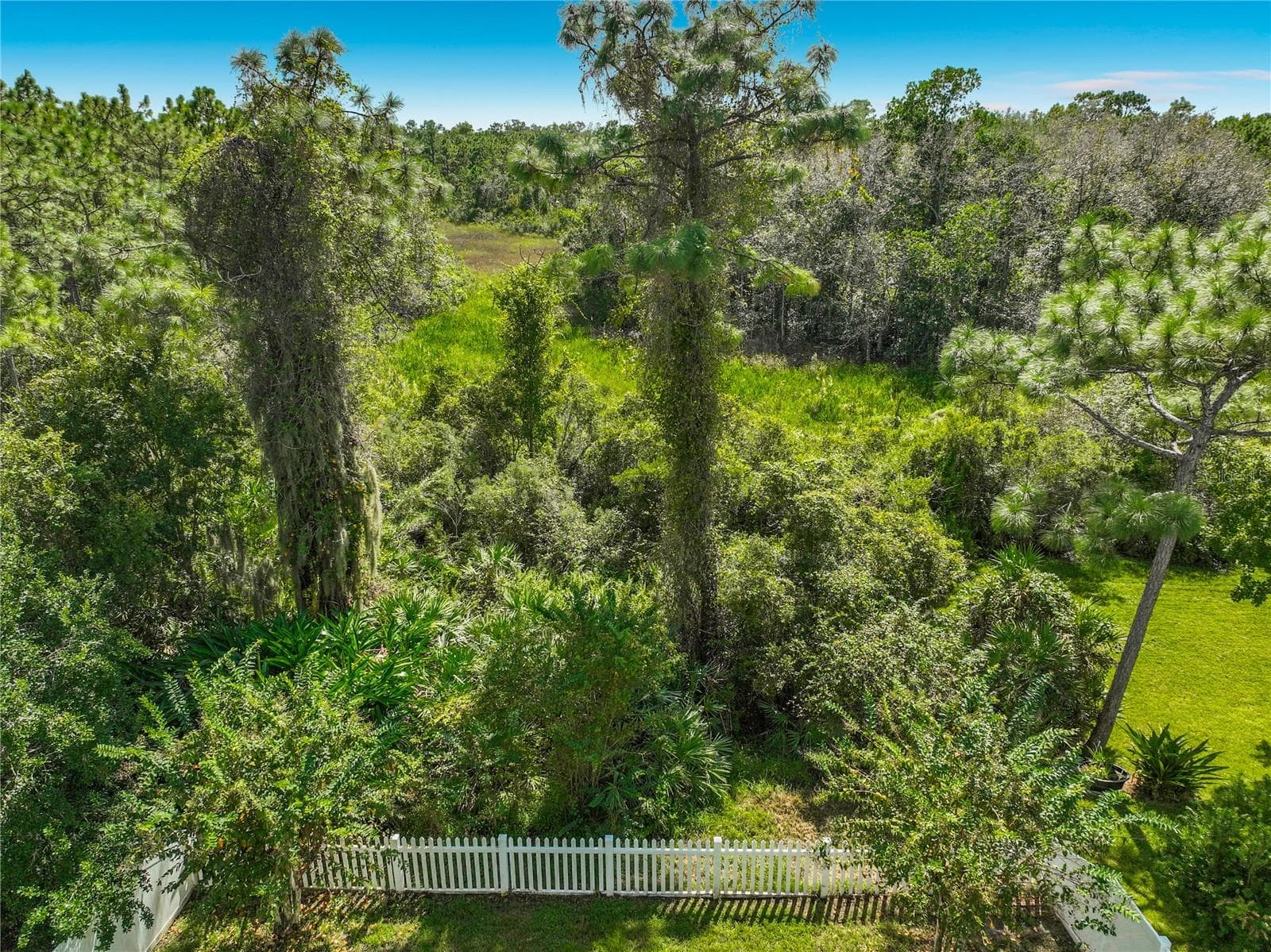 Single Family Residence at 14226 BRADBURY RD, ORLANDO, photo 63 of 83