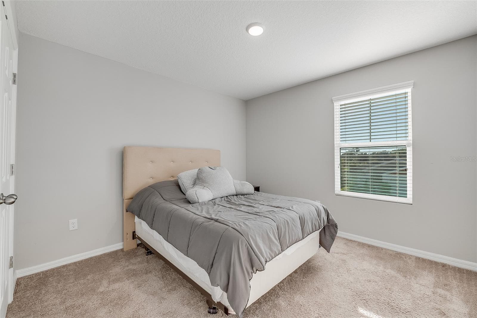 Single Family Residence at 12625 TANNENCREST DR, RIVERVIEW, photo 29 of 52