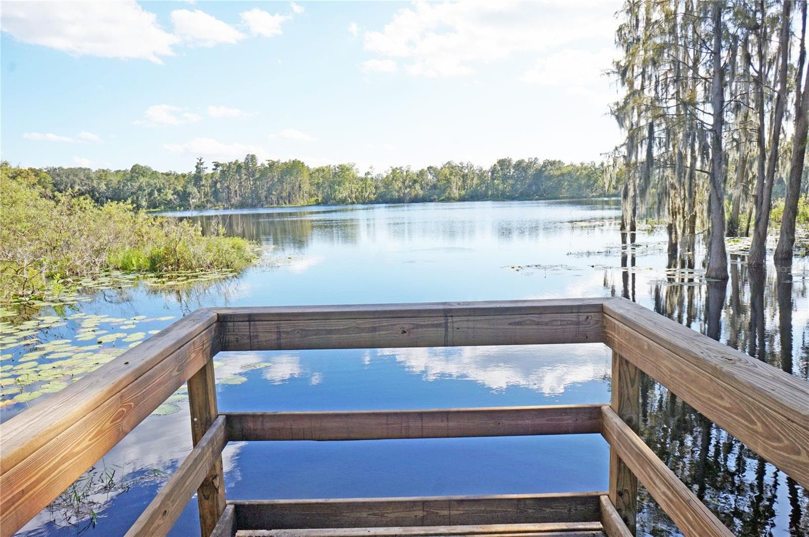 Townhouse at 14243 DAMSELFLY DR, TAMPA, photo 60 of 64