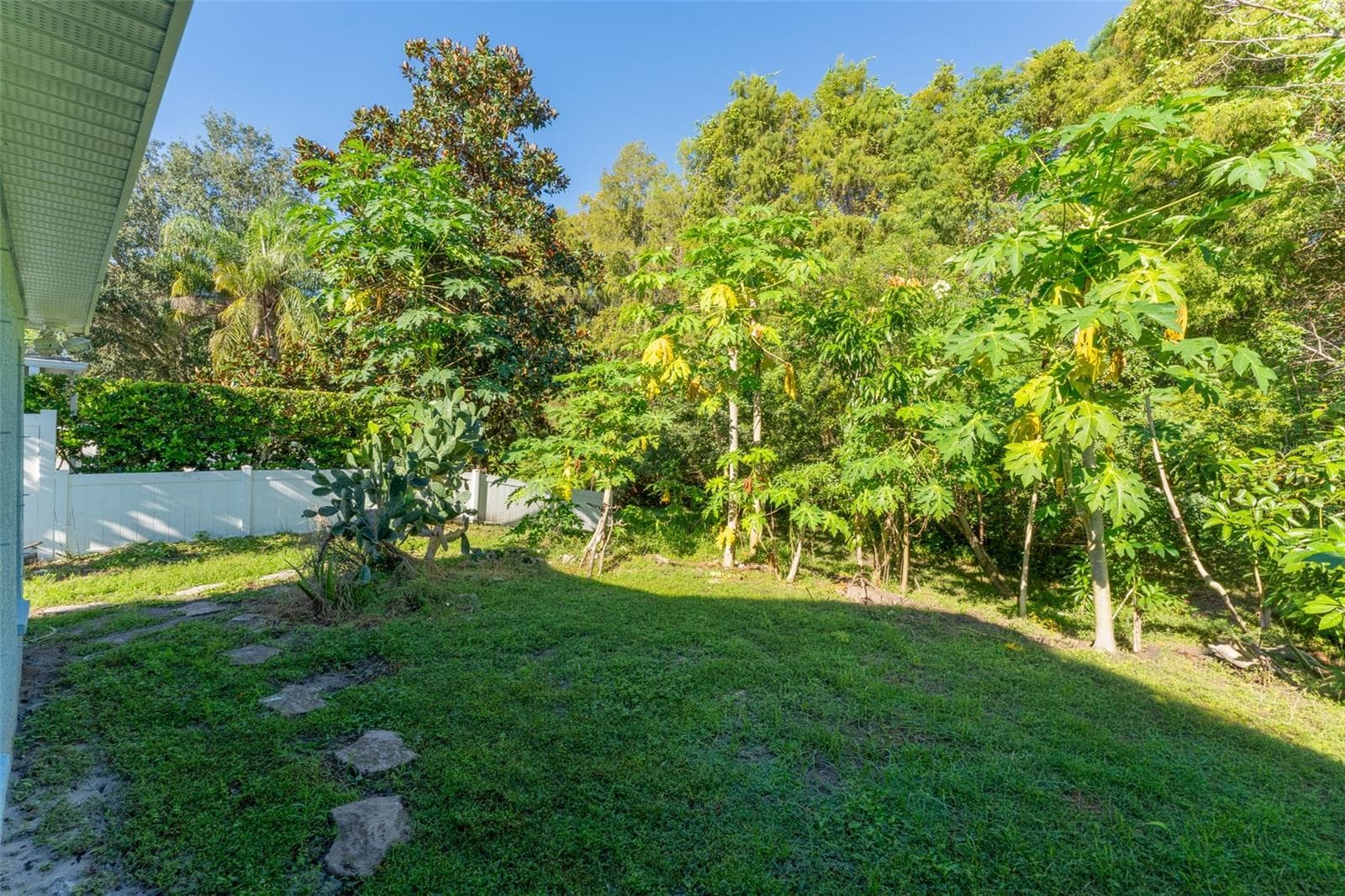 backing up to conservation lot - 1127 ROLLING STONE RUN, ODESSA