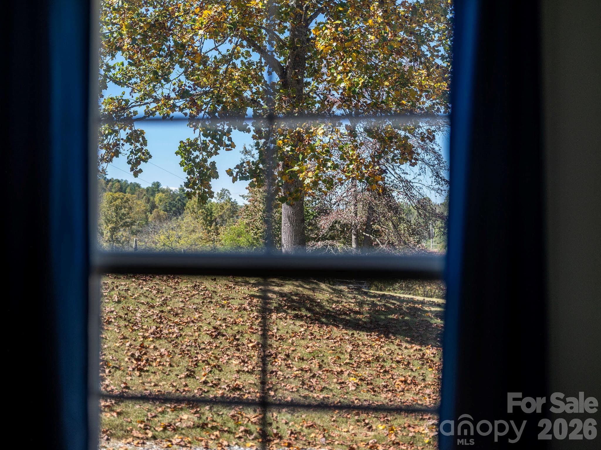 Fall colors have arrived - 67 Allman Hill Road, Weaverville