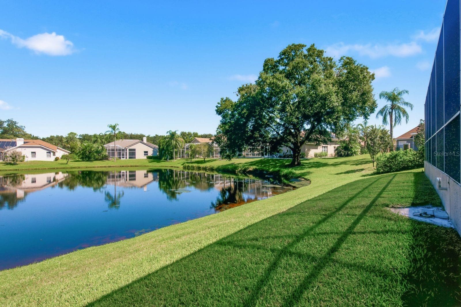 Backyard - 3763 EXECUTIVE DR, PALM HARBOR