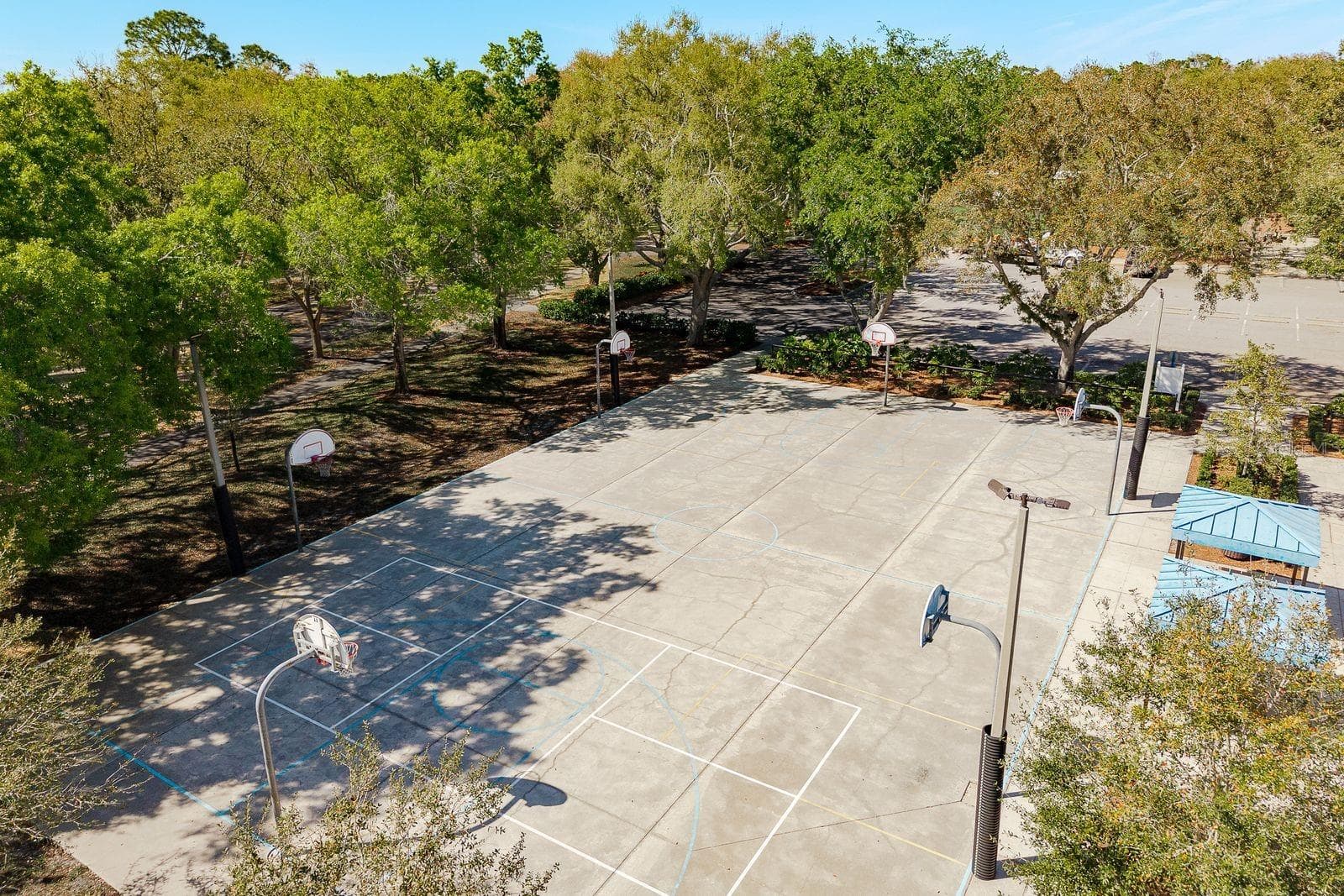 Basketball courts - 3763 EXECUTIVE DR, PALM HARBOR