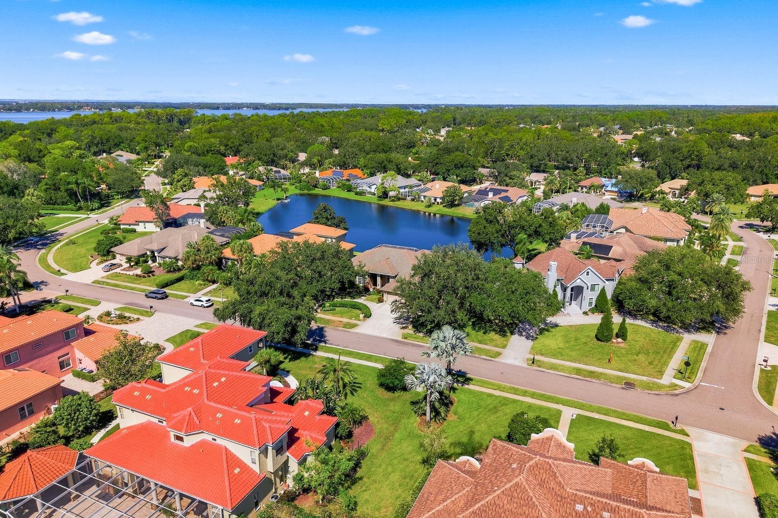 Single Family Residence at 3763 EXECUTIVE DR, PALM HARBOR, photo 95 of 100