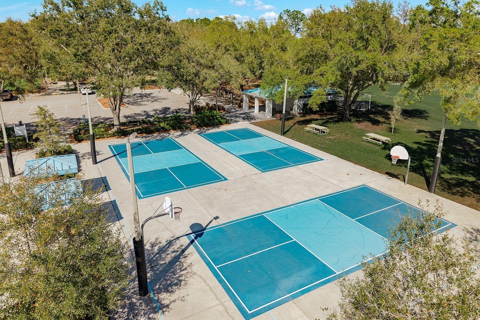 Newer Pickleball courts - 3763 EXECUTIVE DR, PALM HARBOR