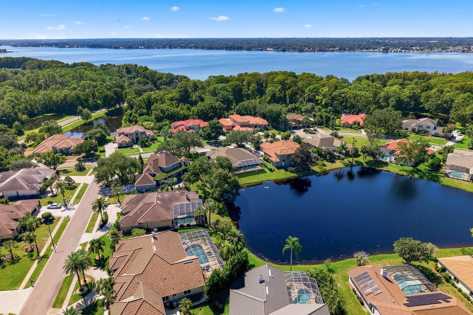 Single Family Residence at 3763 EXECUTIVE DR, PALM HARBOR, photo 99 of 100