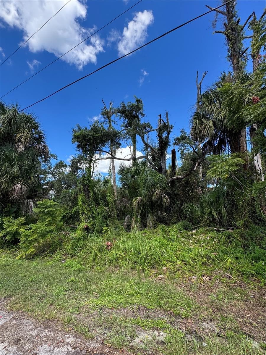 Land at ZAMITA AVE, NORTH PORT, photo 5 of 8
