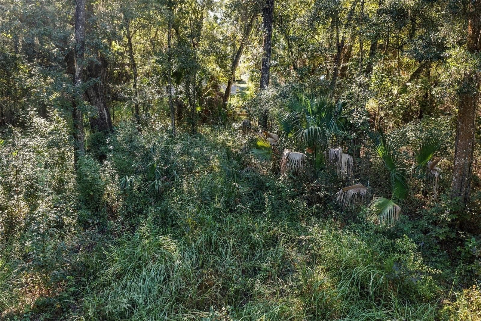Land at REGENCY CT, BROOKSVILLE, photo 6 of 22