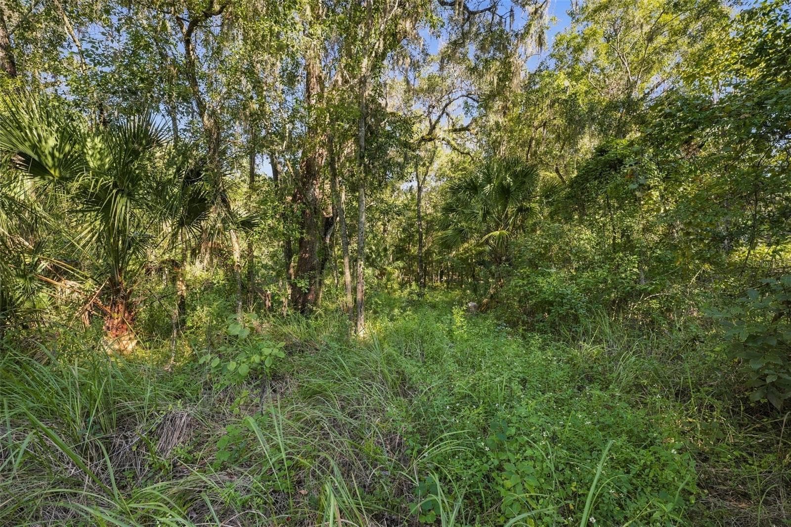 Land at REGENCY CT, BROOKSVILLE, photo 15 of 22