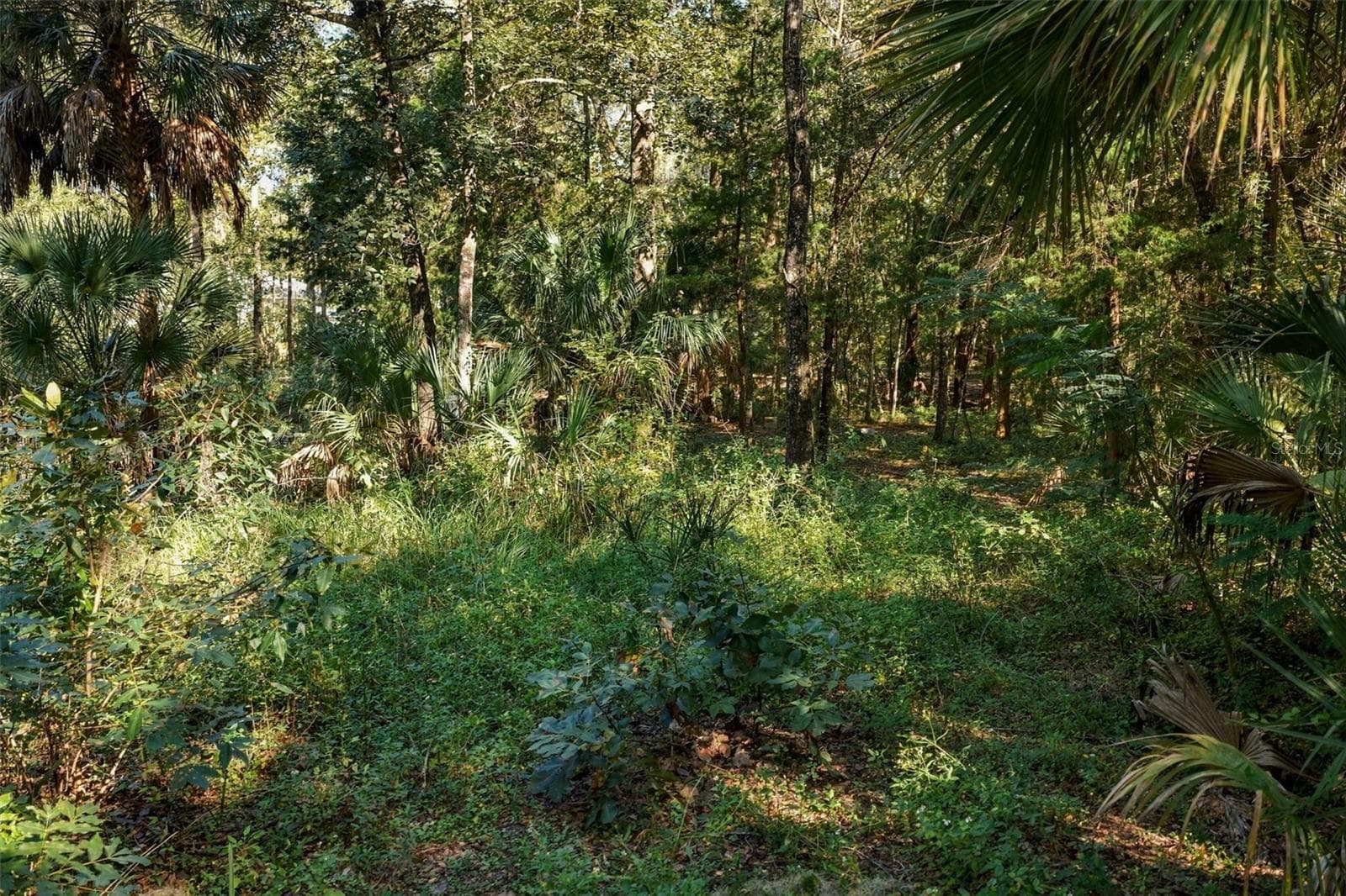 Land at REGENCY CT, BROOKSVILLE, photo 16 of 22