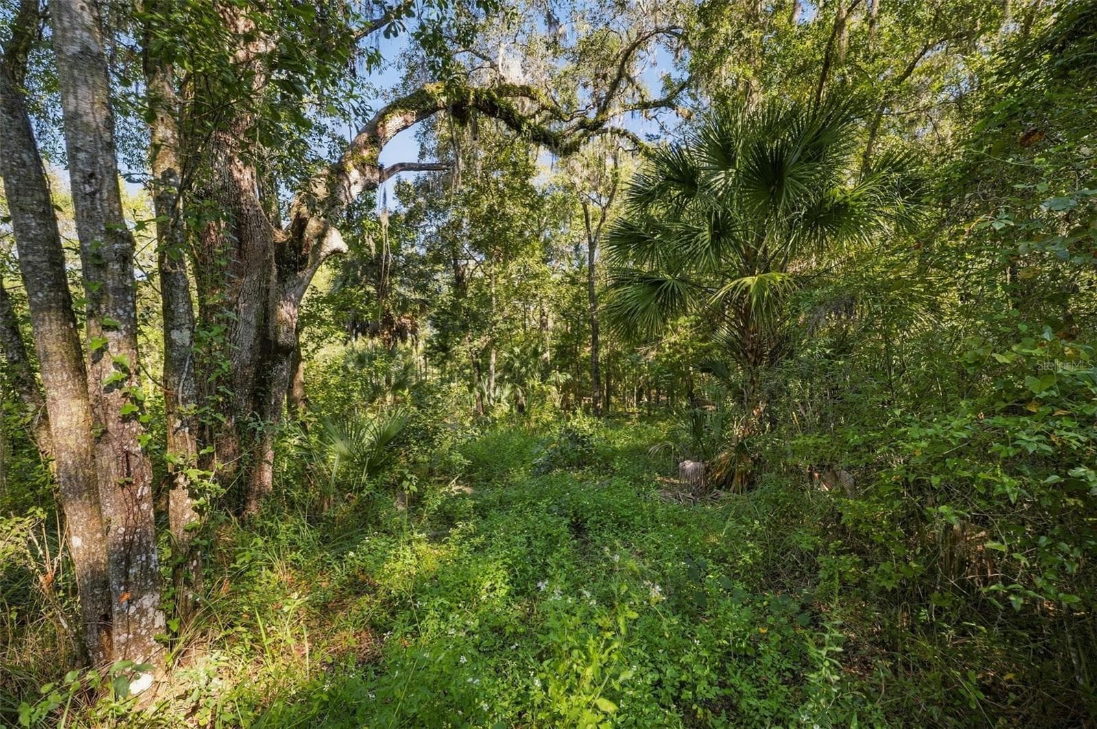 Land at REGENCY CT, BROOKSVILLE, photo 19 of 22