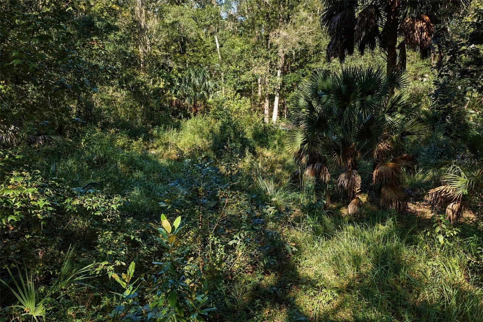 Land at REGENCY CT, BROOKSVILLE, photo 21 of 22