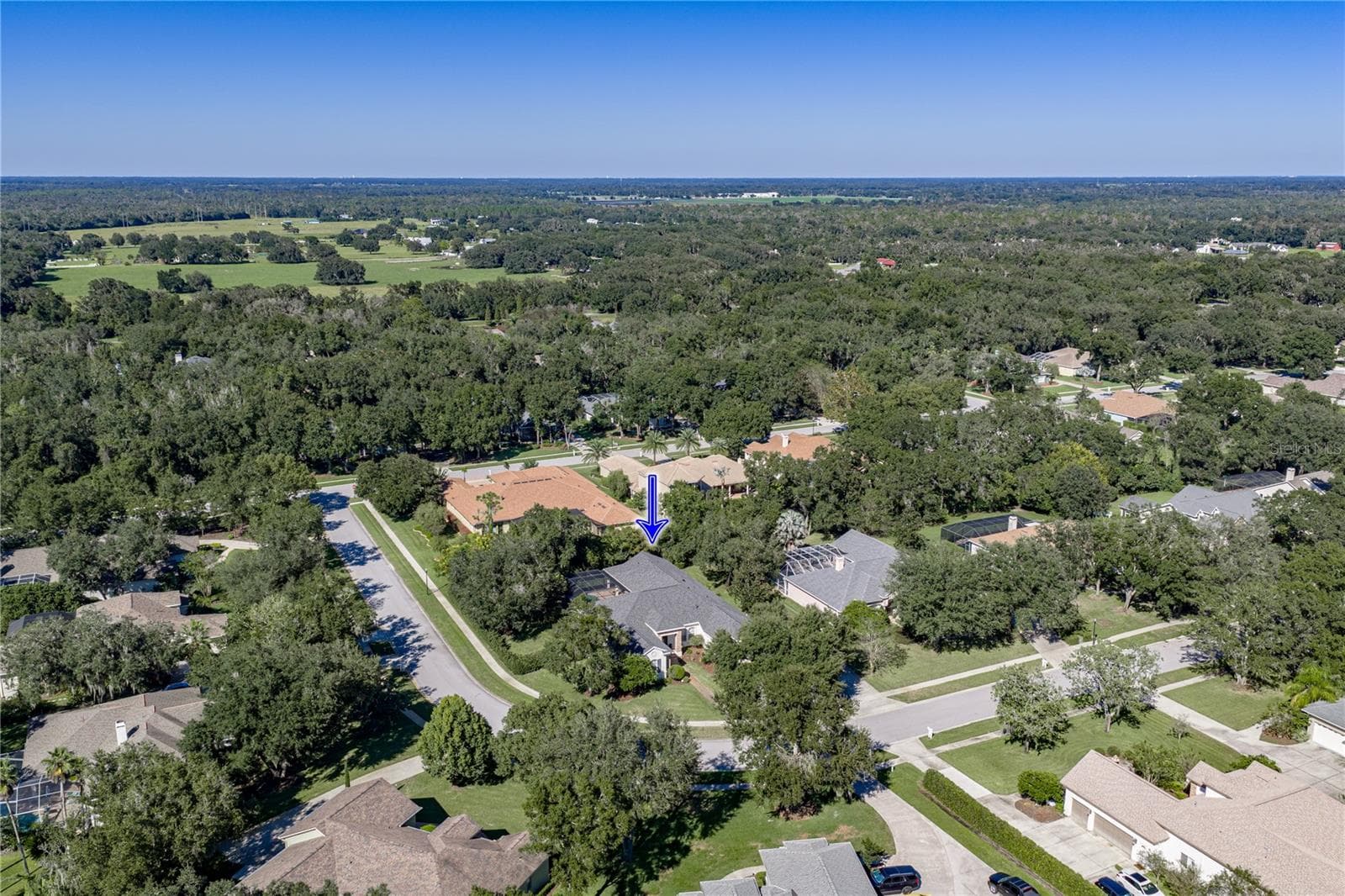 Single Family Residence at 6010 KESTREL POINT AVE, LITHIA, photo 73 of 84