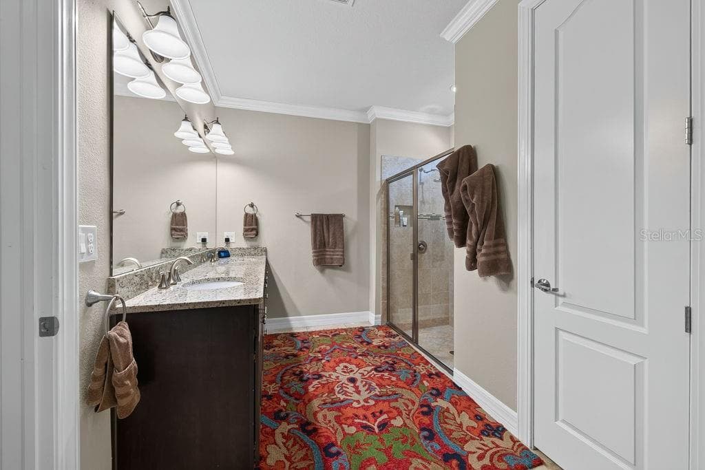Single Family Residence at 18431 CORTES CREEK BLVD, SPRING HILL, photo 26 of 49