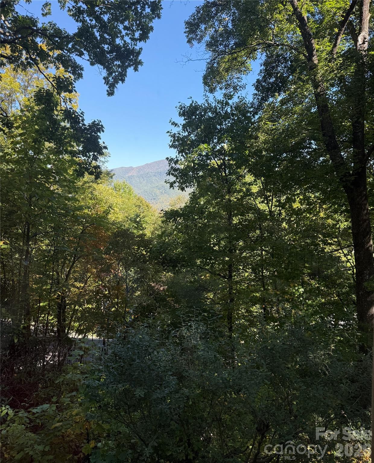 Picture from deck. Winter view of the Burnett Reservoir. - 22 Great Aspen Way, Black Mountain