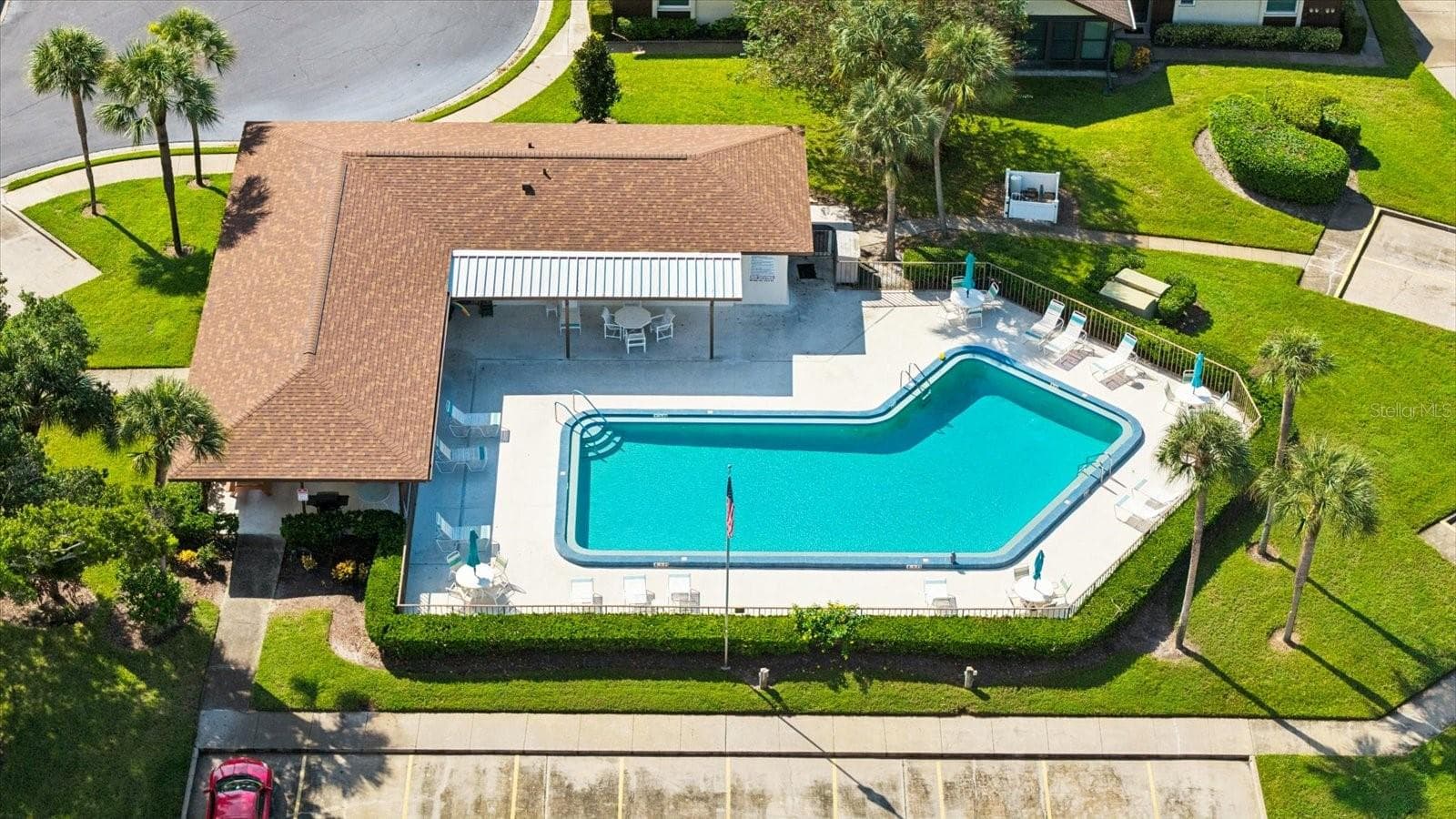 Another pool to enjoy! - 1307 STONEHAVEN LN, DUNEDIN