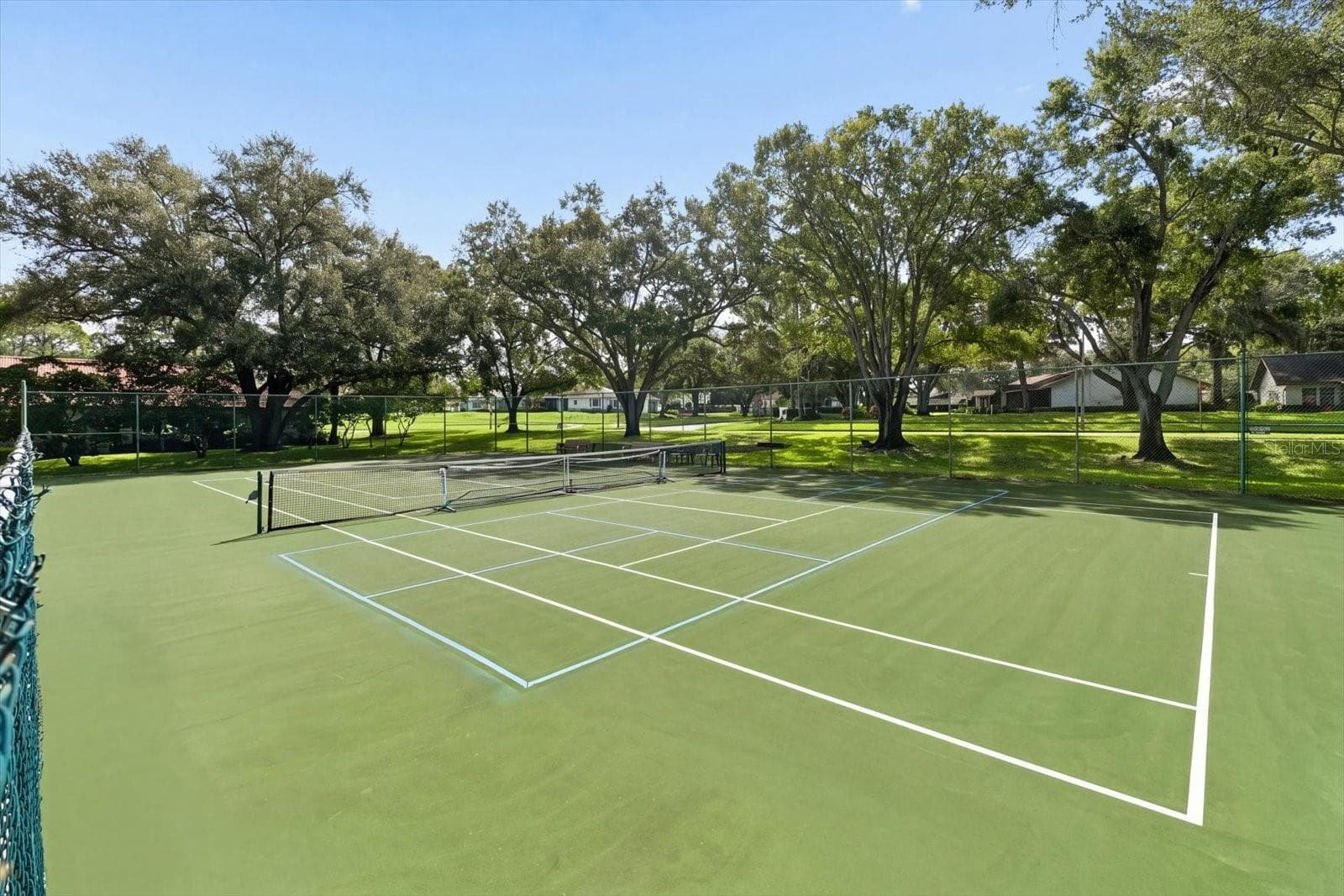 Pickleball/tennis courts - 1307 STONEHAVEN LN, DUNEDIN