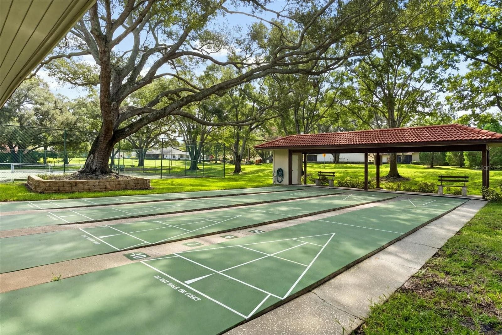 Shuffle board - 1307 STONEHAVEN LN, DUNEDIN
