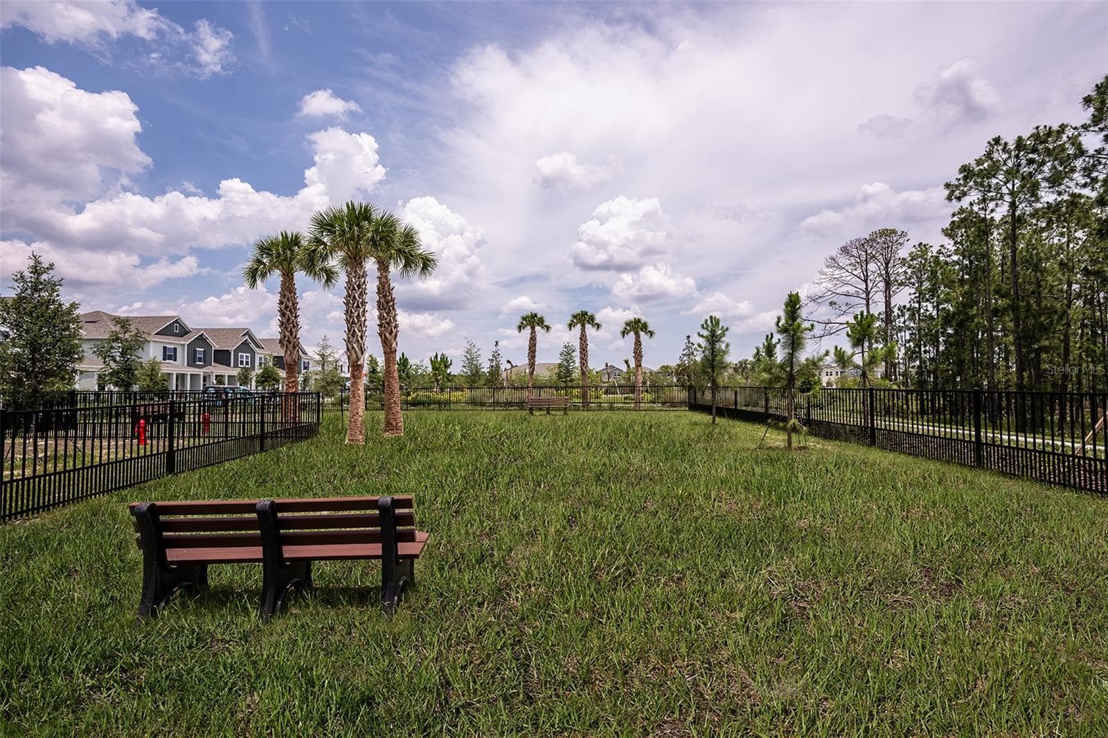 Harvest at Ovation Community - 14743 FIELD DAISY DR, WINTER GARDEN